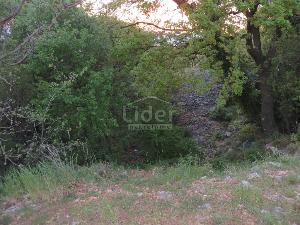 Image 3869472 - 3