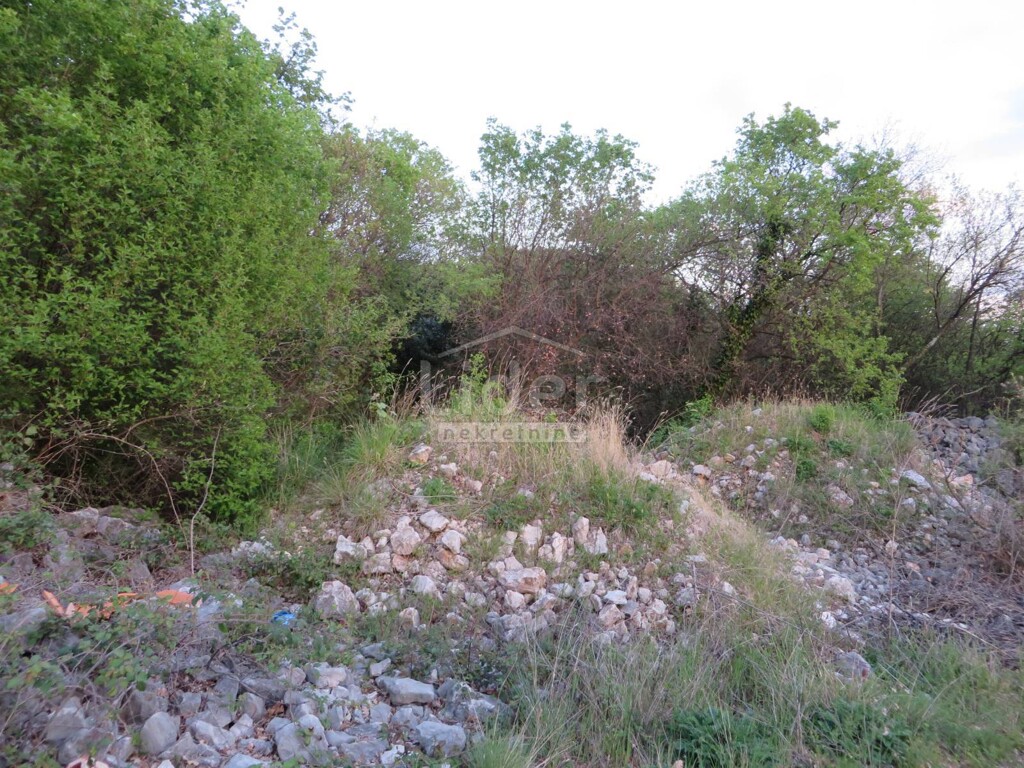 Image 3869473 - 3
