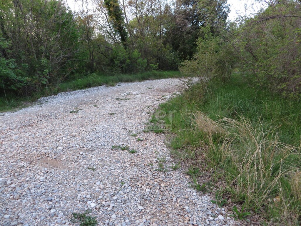 Image 3869473 - 5