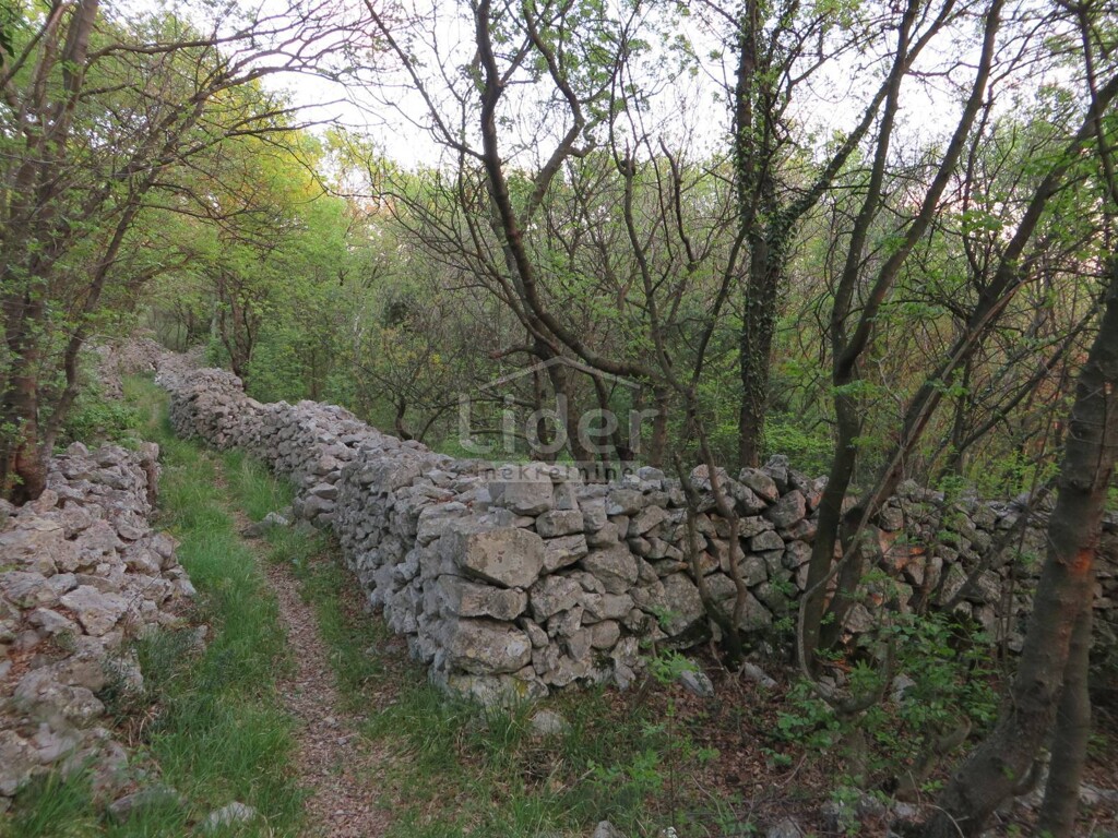 Image 3869473 - 4