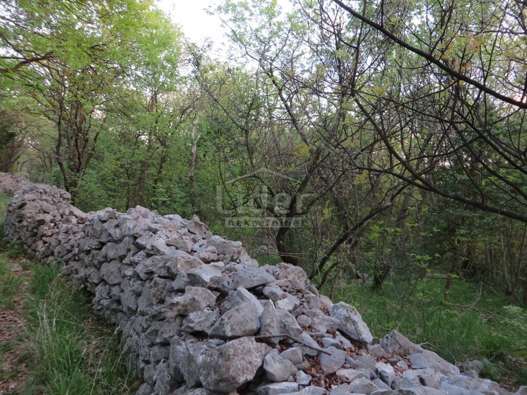 Image 3869473 - 7