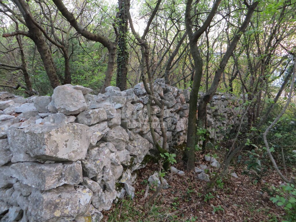 Image 3869473 - 6
