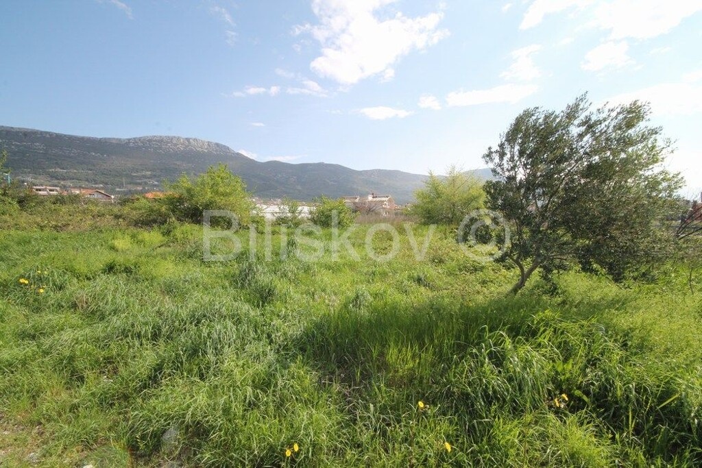 Image 3880116 - 7