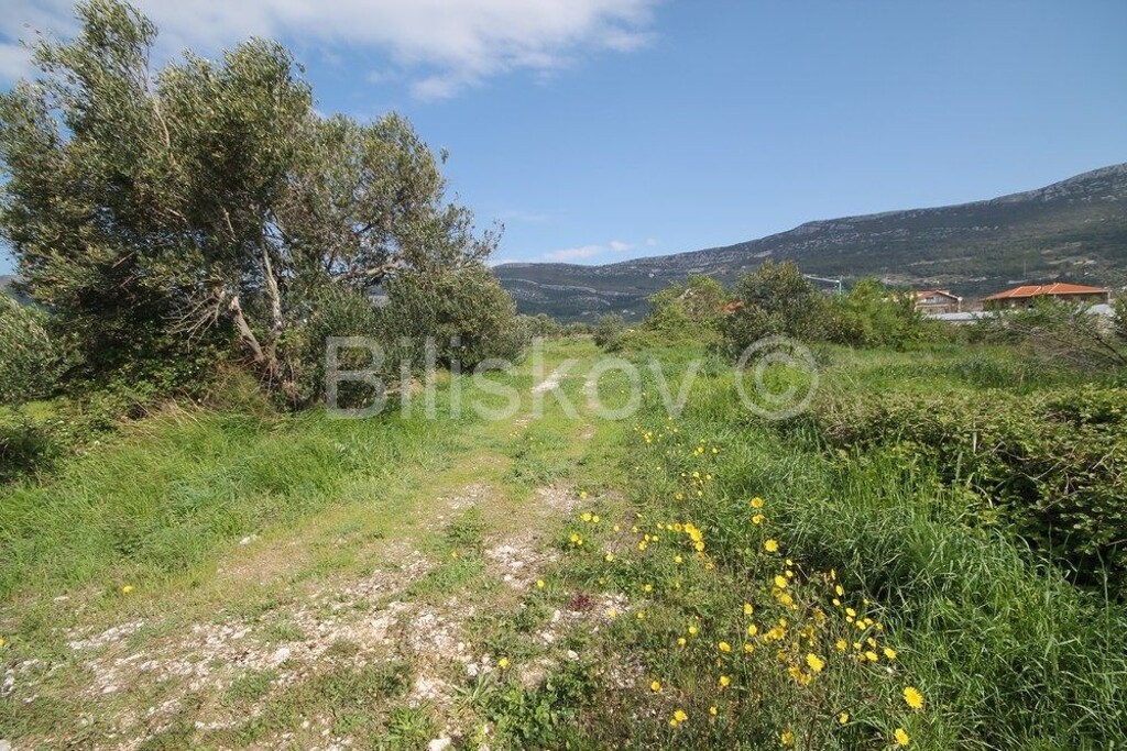 Image 3880116 - 5
