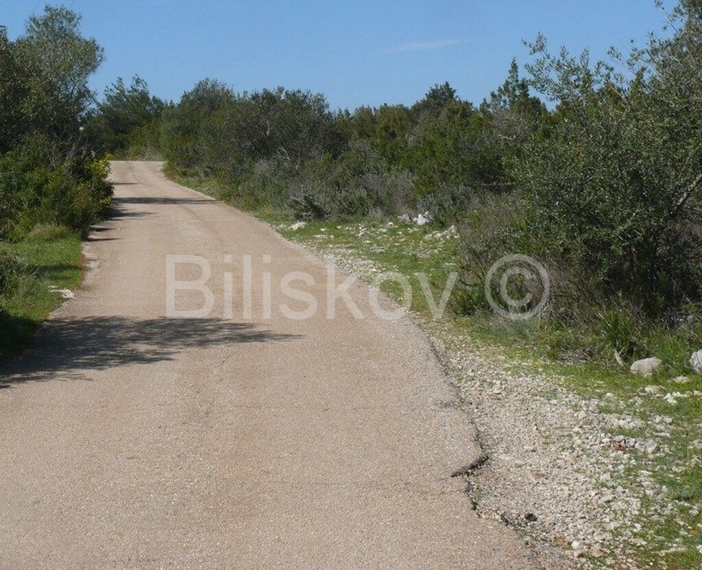 Image 3880147 - 5