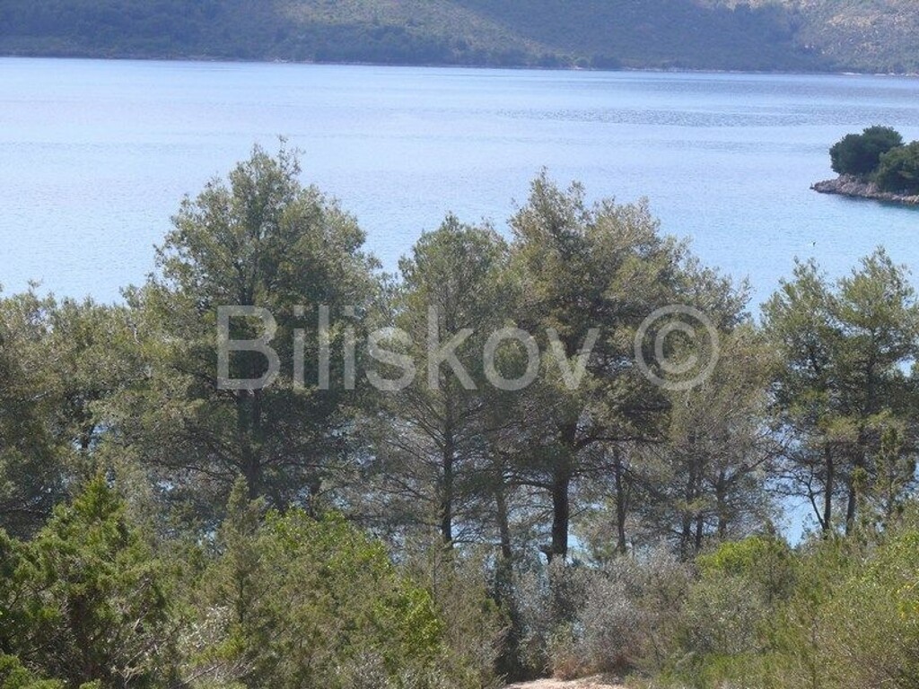 Image 3880147 - 2