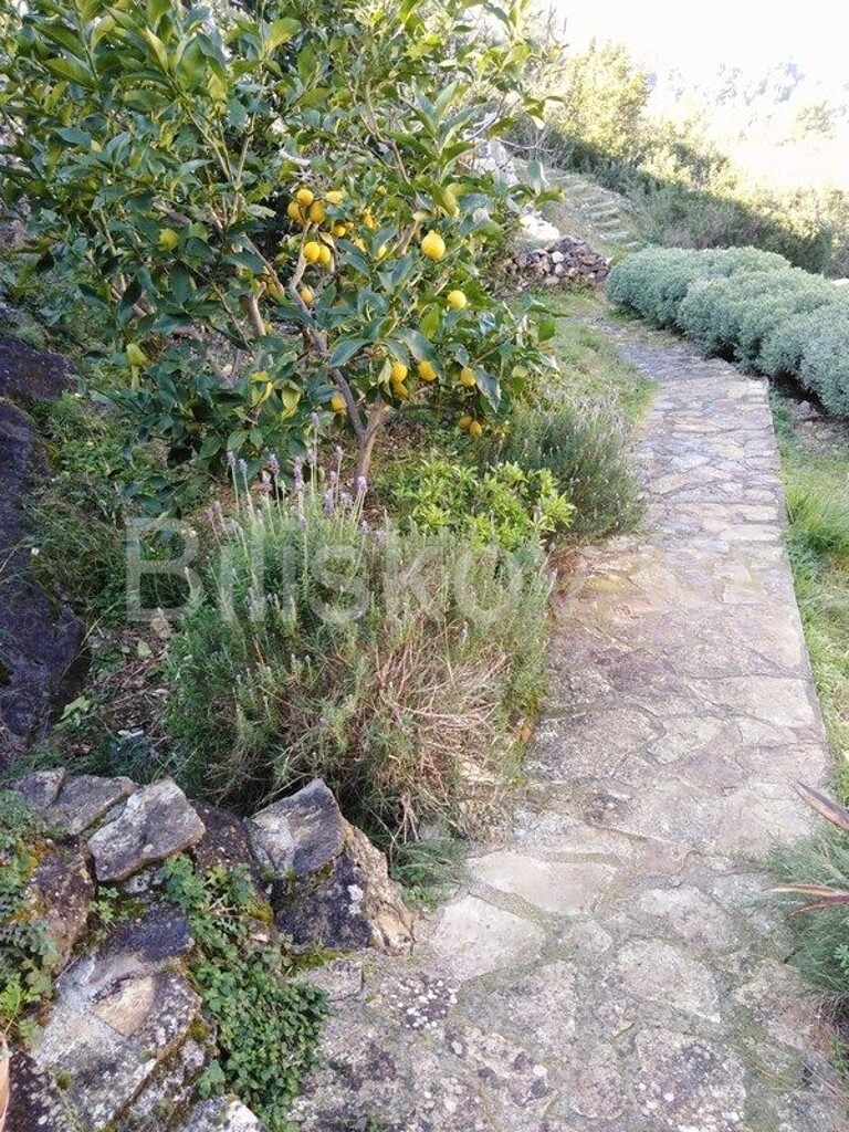 Image 3880177 - 13