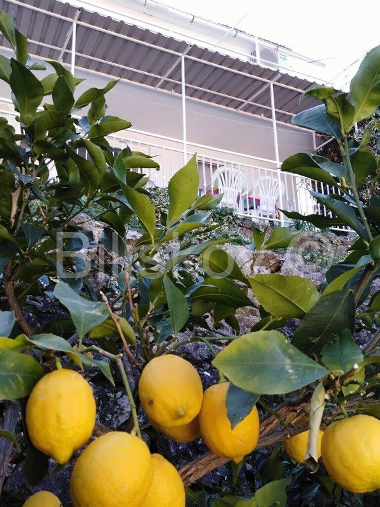 Image 3880177 - 11
