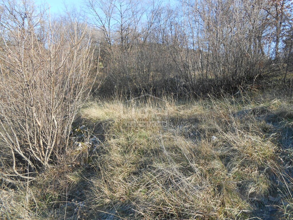 Image 3881084 - 4