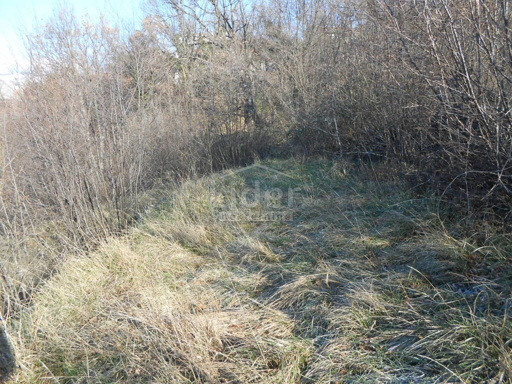 Image 3881084 - 5