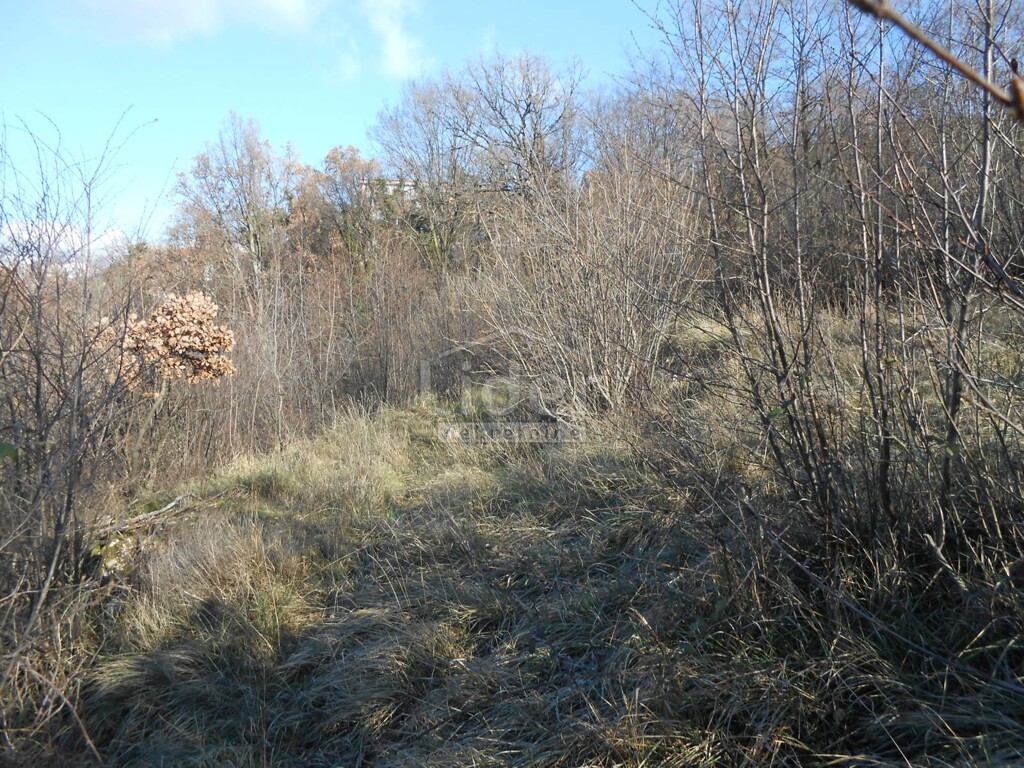 Image 3881084 - 6