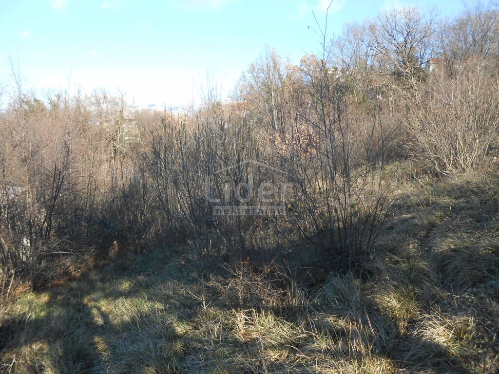 Image 3881084 - 7