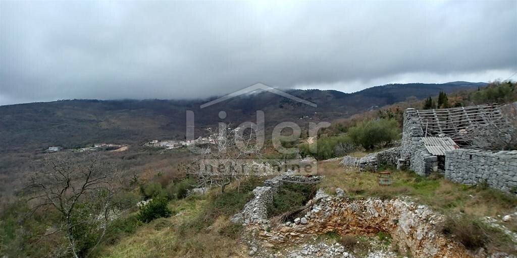 Image 3887955 - 2