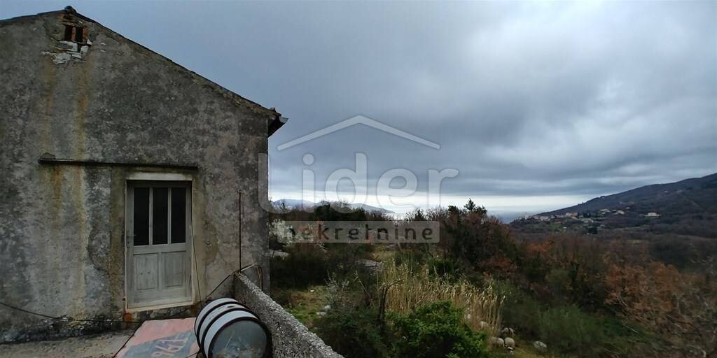 Image 3887955 - 1
