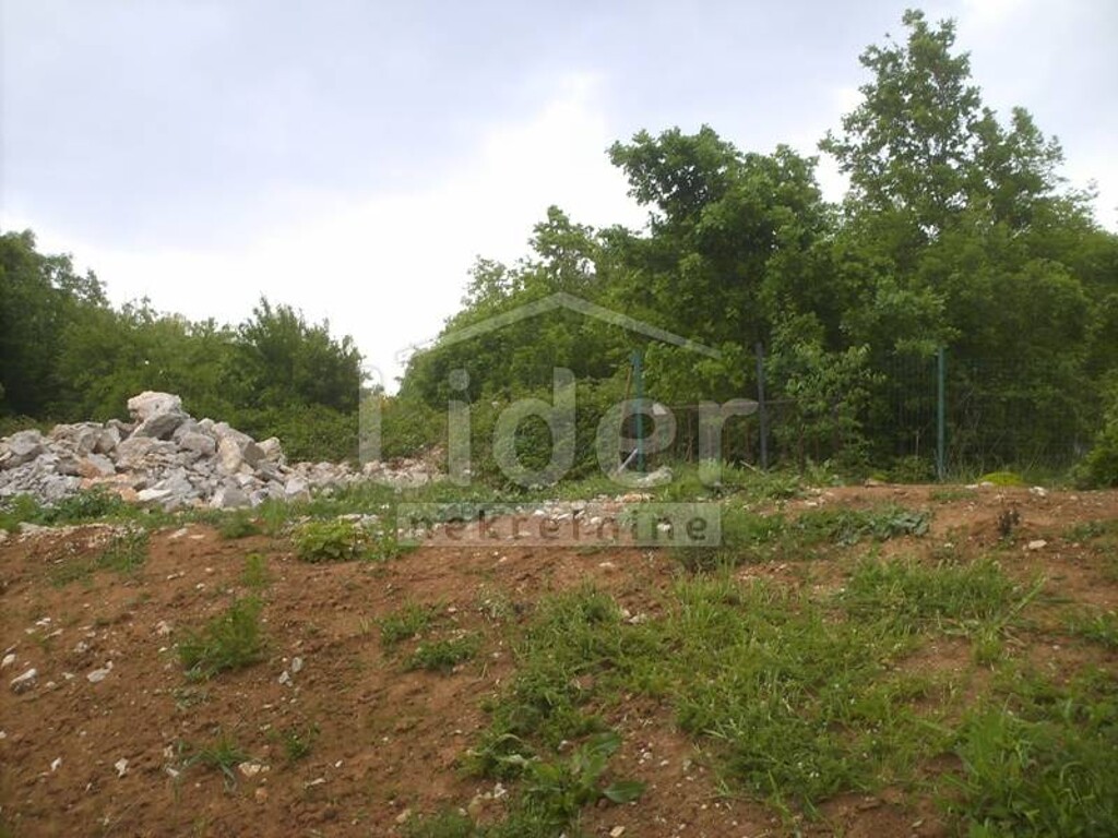 Image 3898675 - 2
