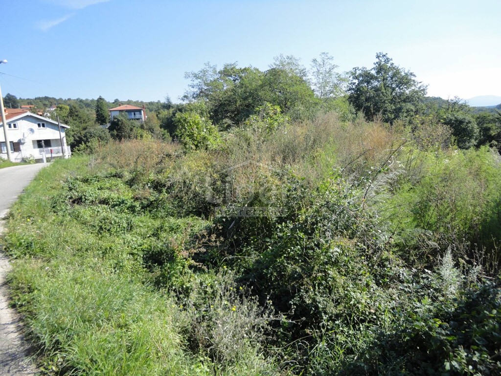 Image 3914458 - 8