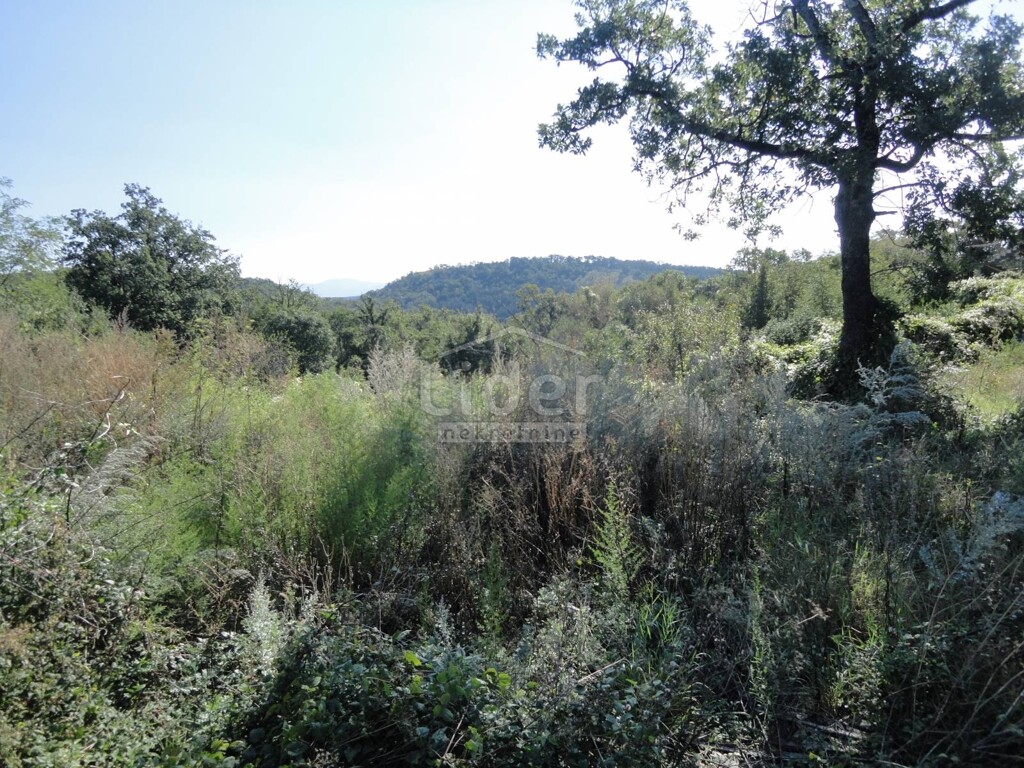 Image 3914458 - 2