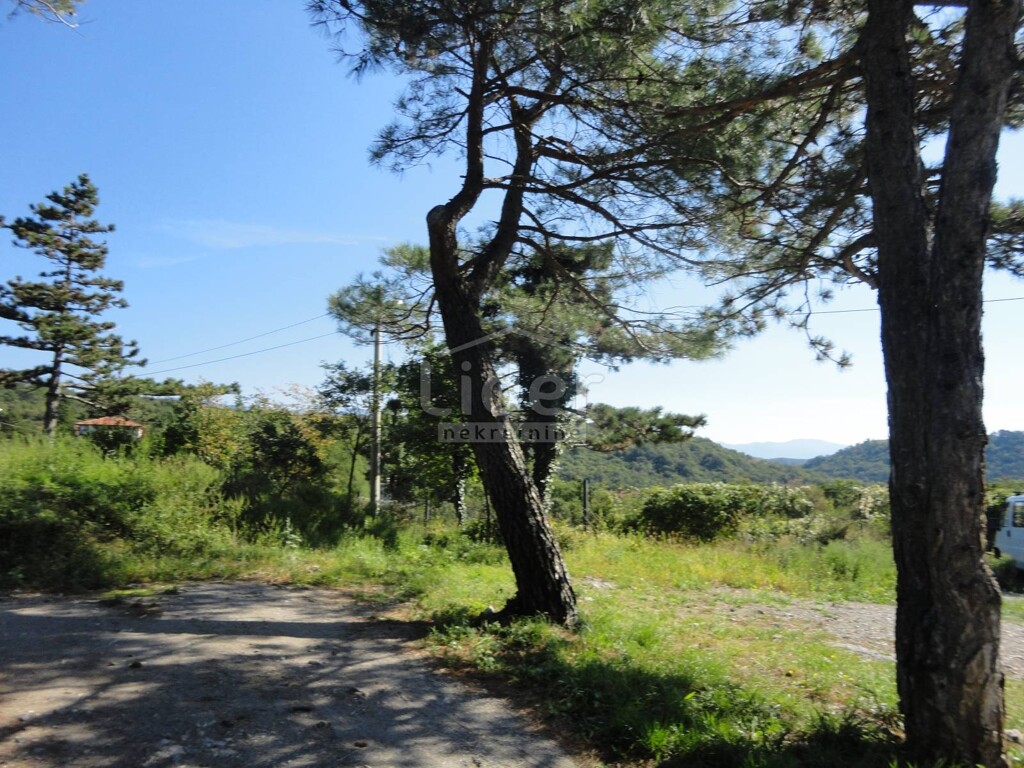 Image 3914458 - 4