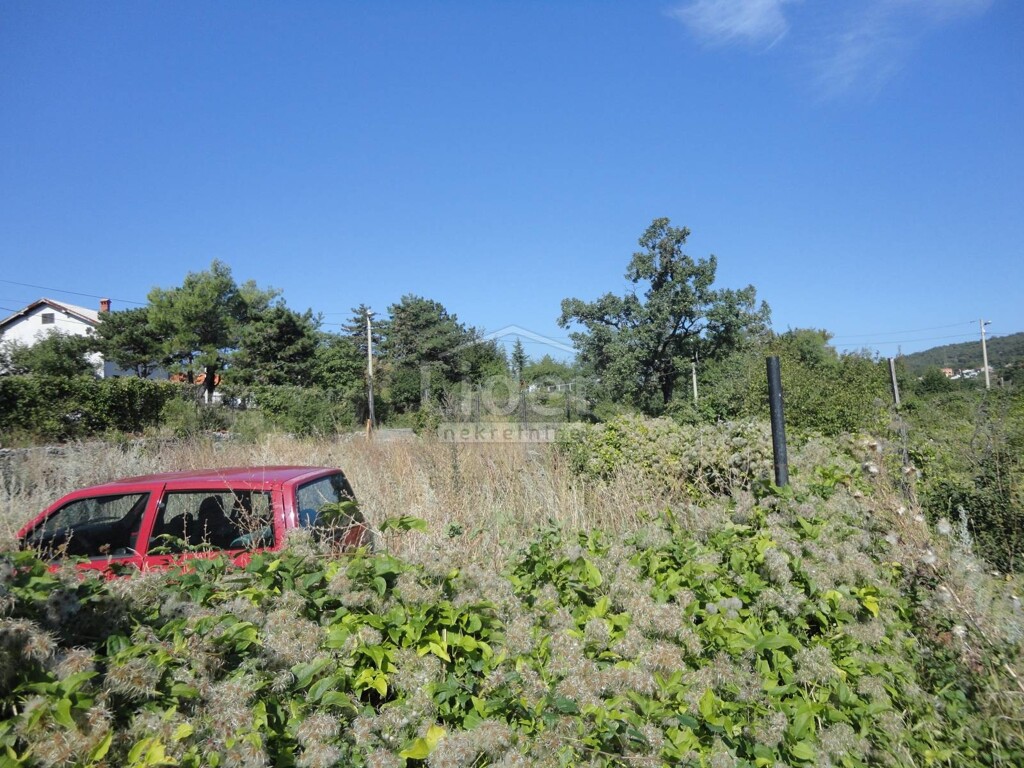 Image 3914458 - 12