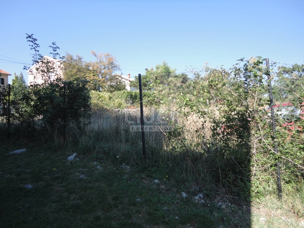 Image 3914458 - 7
