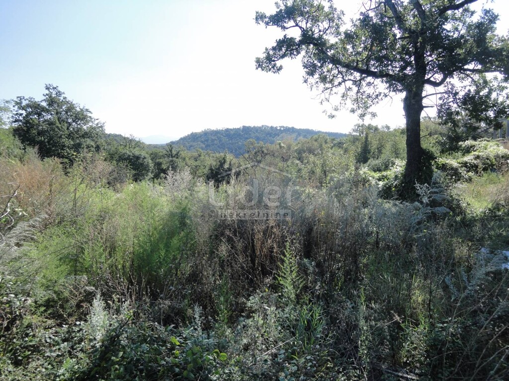 Image 3914458 - 10