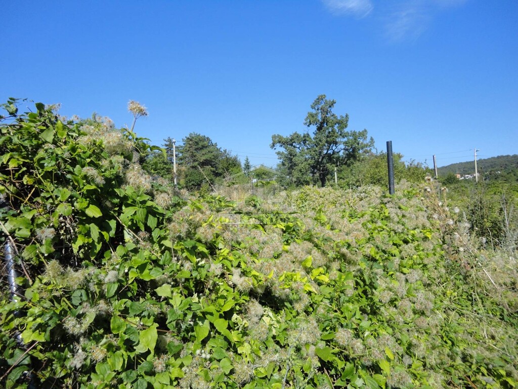 Image 3914458 - 9