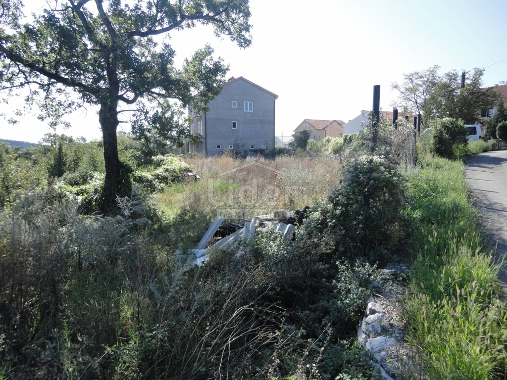 Image 3914458 - 1