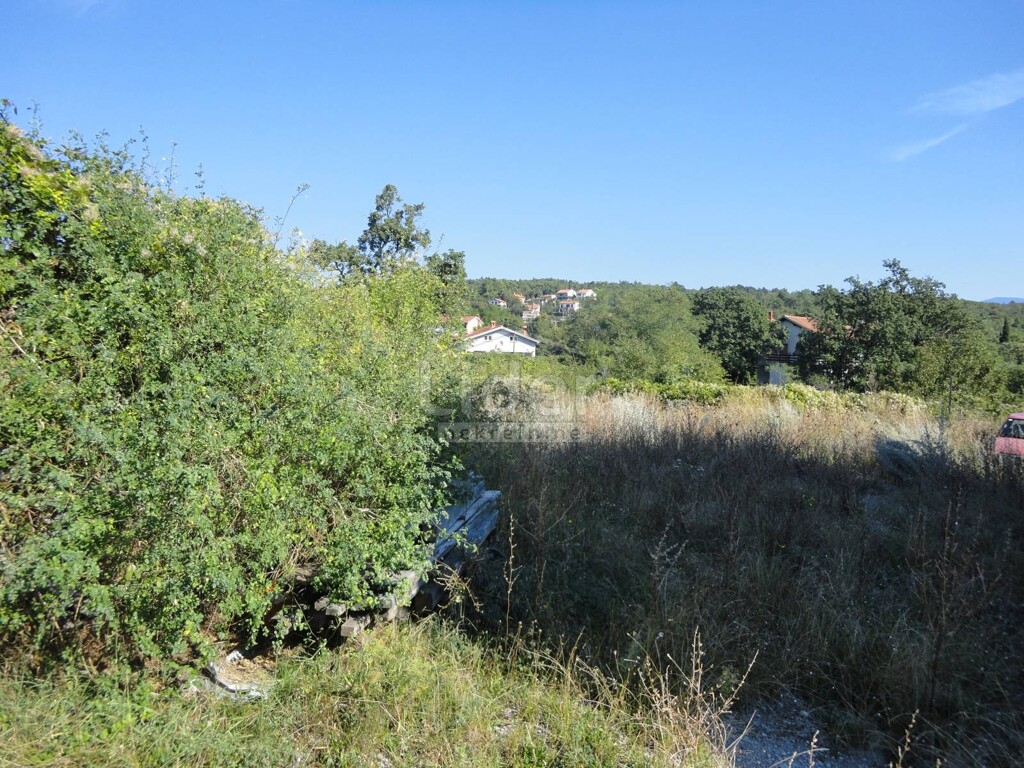 Image 3914458 - 11