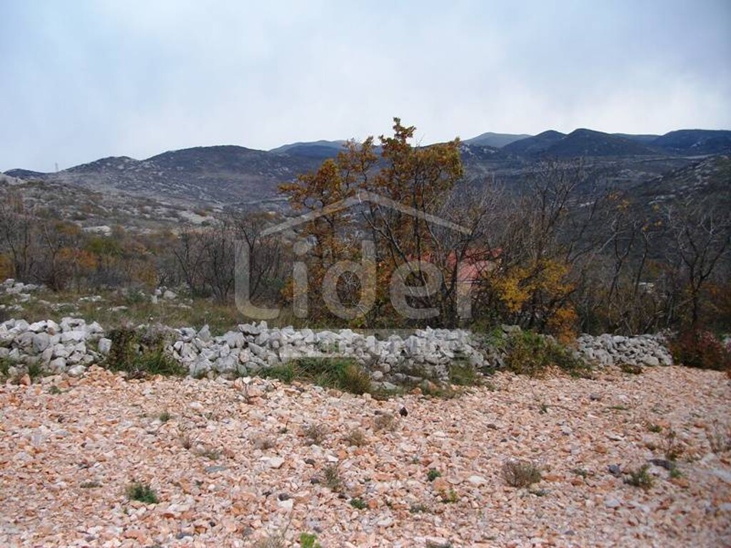 Image 3916063 - 2