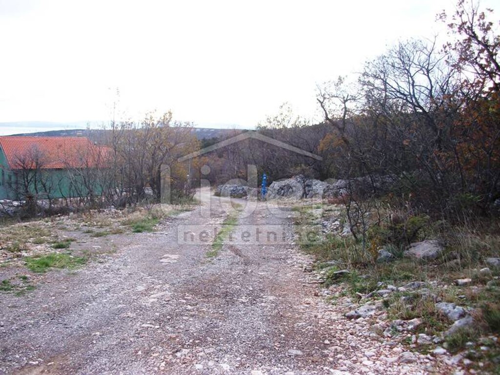 Image 3916063 - 1