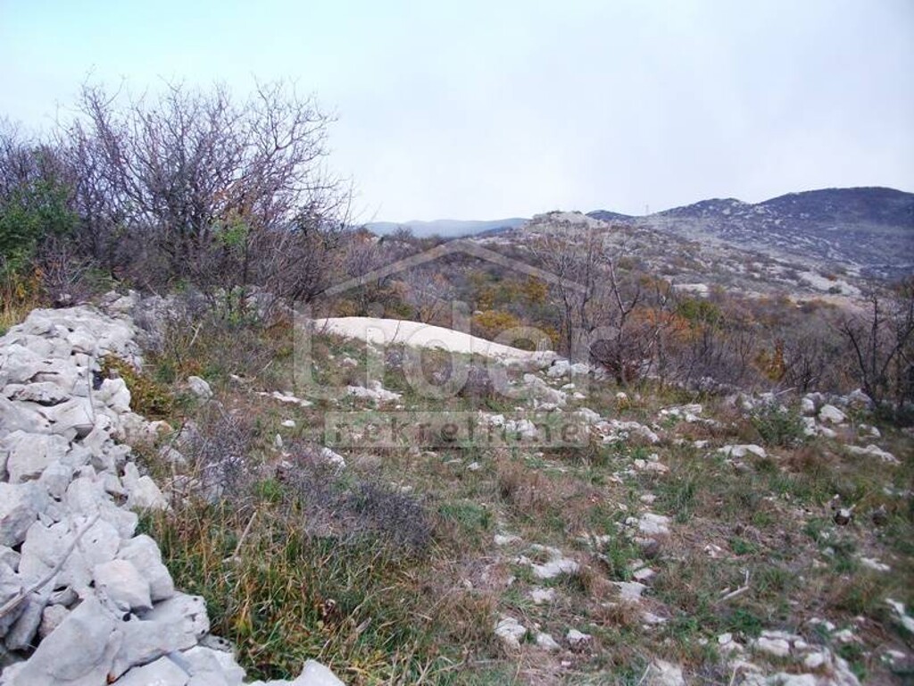 Image 3916063 - 4