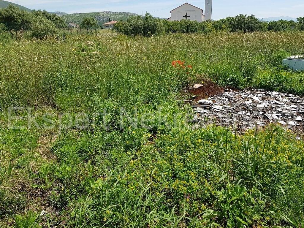 Image 3920422 - 4