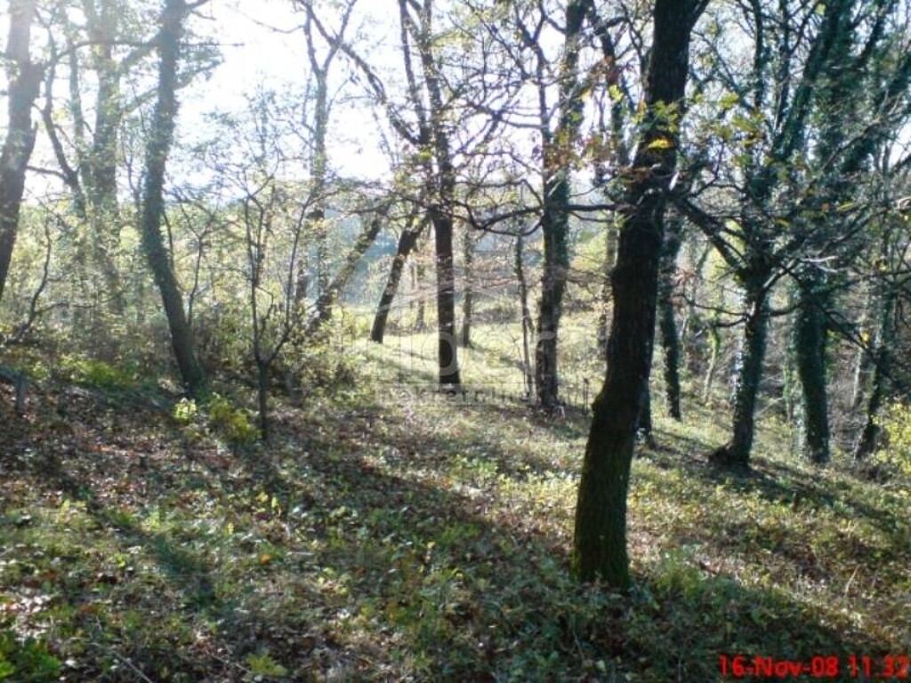 Image 3926239 - 1