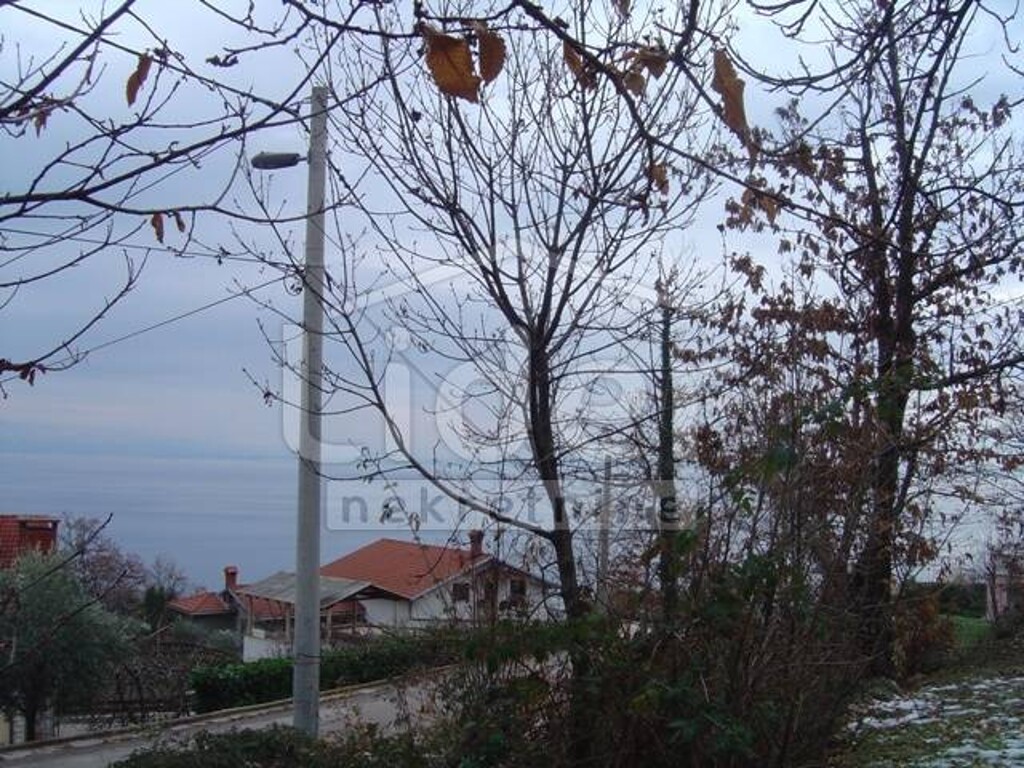 Image 3926716 - 2