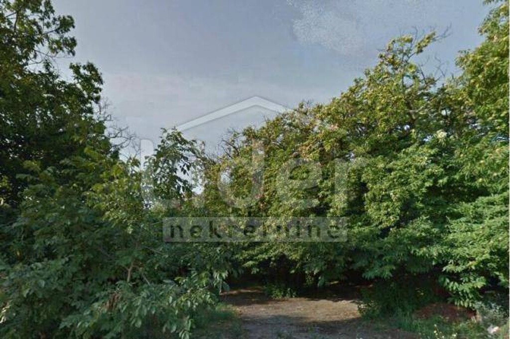 Image 3926716 - 1