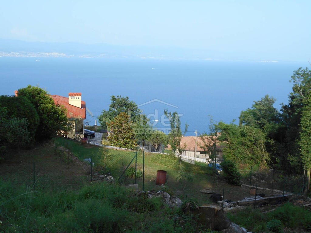 Image 3938608 - 12