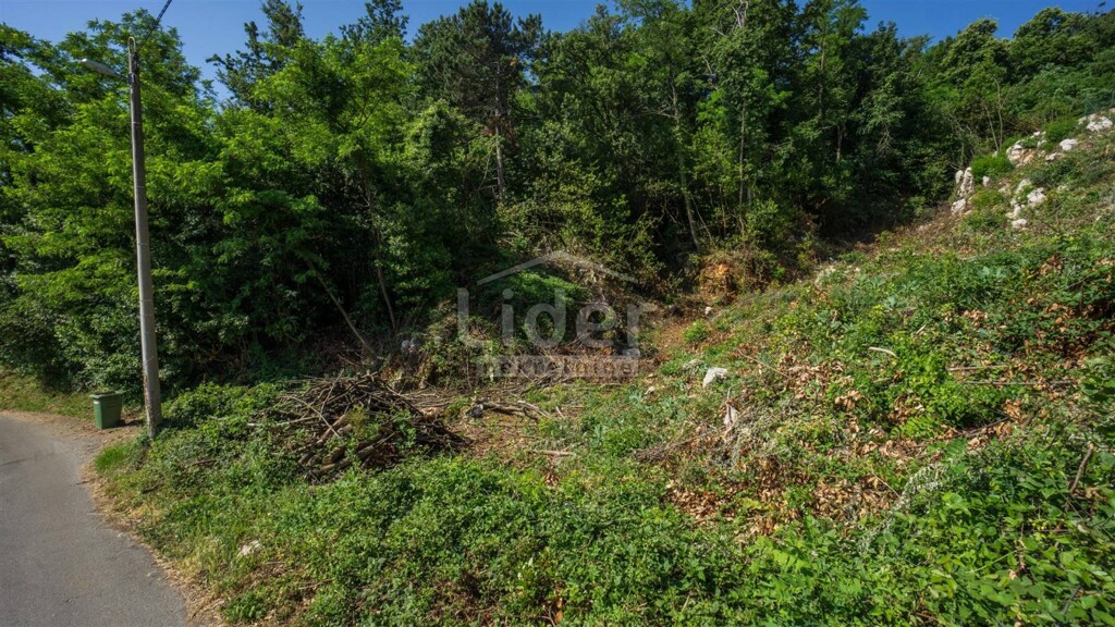 Image 3938608 - 7