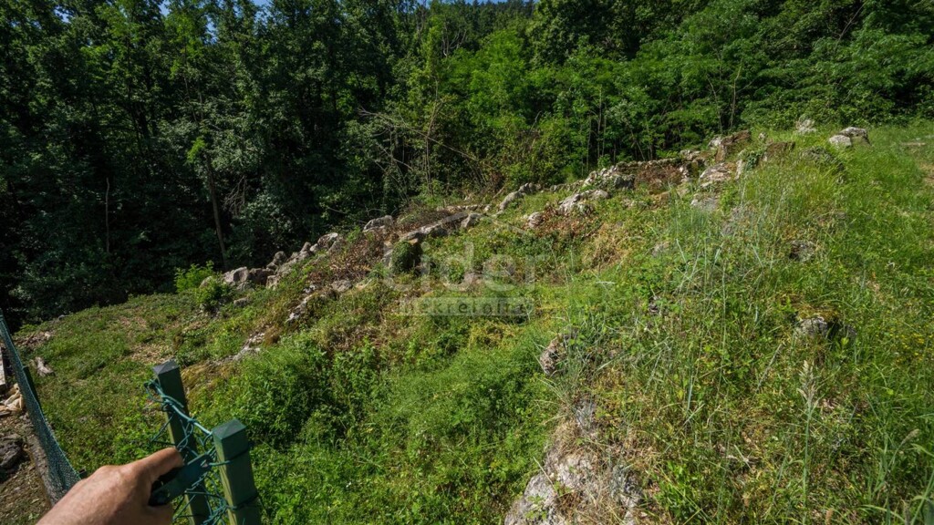 Image 3938608 - 10