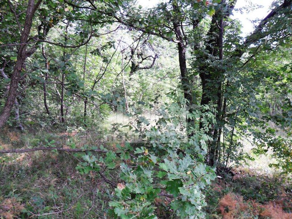 Image 3940692 - 1