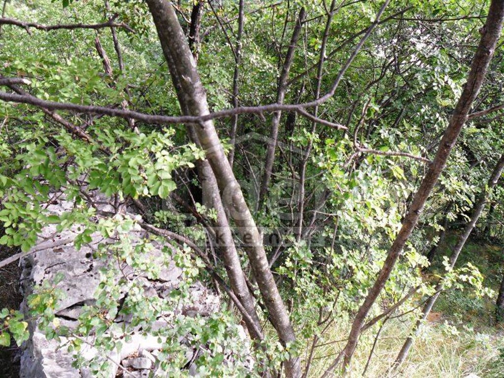 Image 3940692 - 2