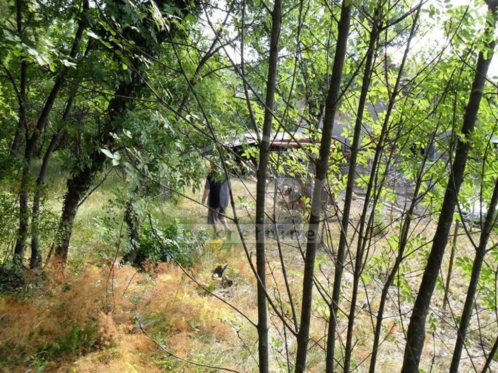 Image 3940692 - 3