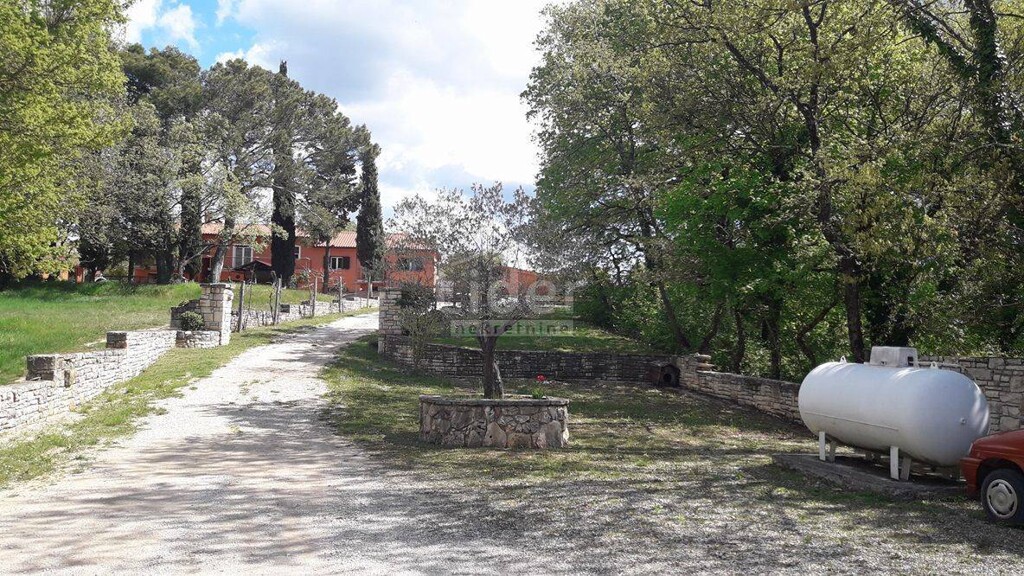 Image 3959582 - 2