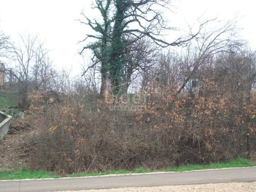 Image 3988808 - 3