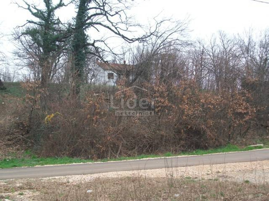 Image 3988808 - 2