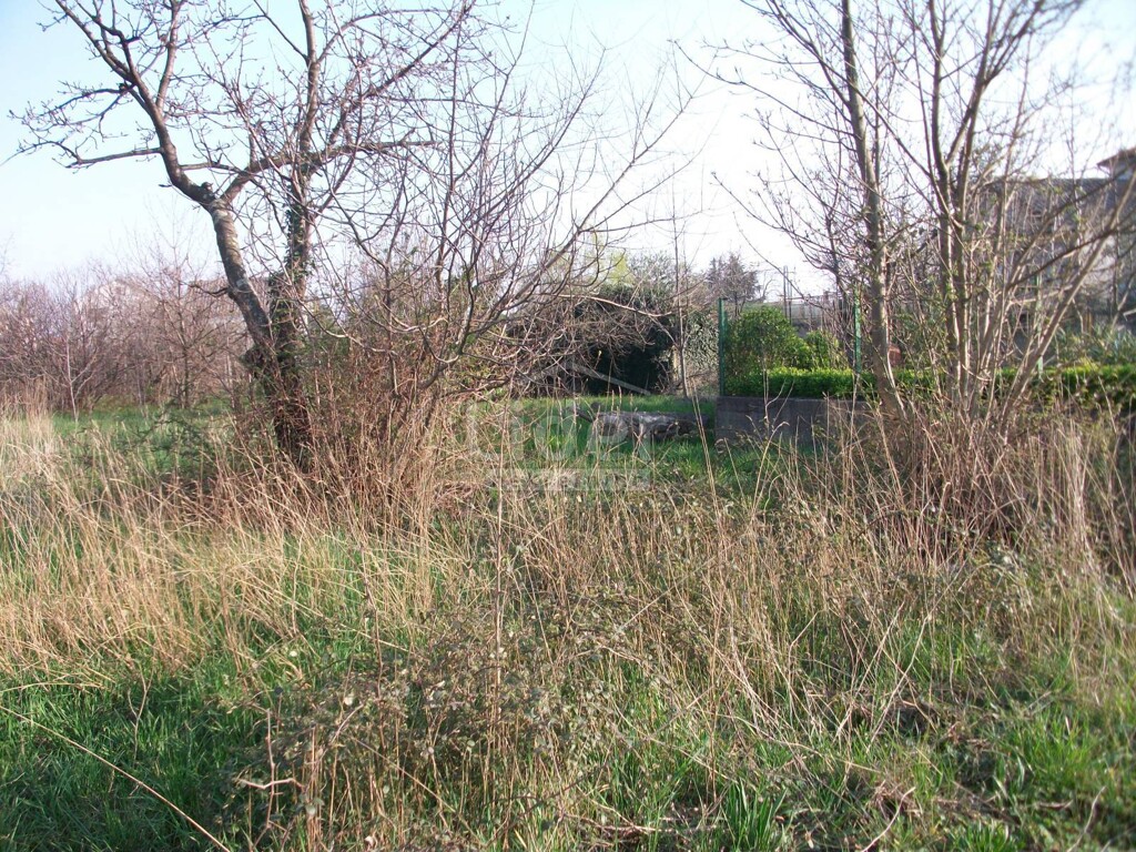 Image 4009216 - 1