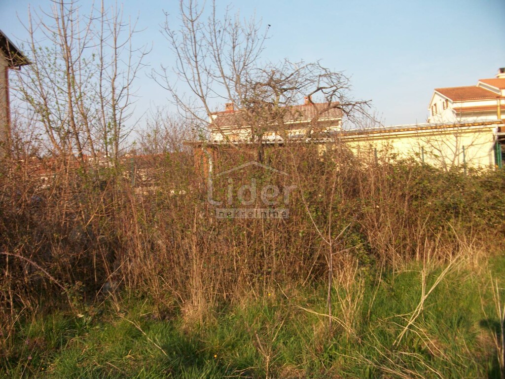 Image 4009216 - 2