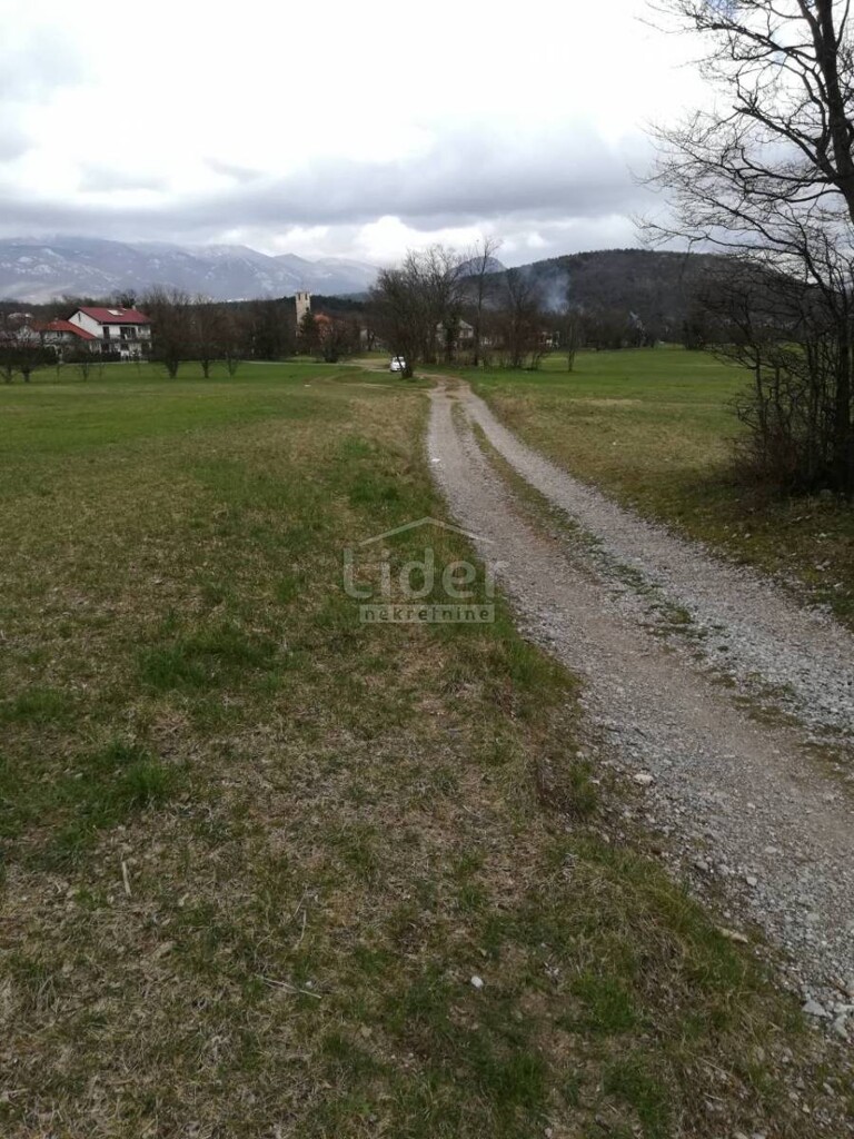 Image 4017810 - 2