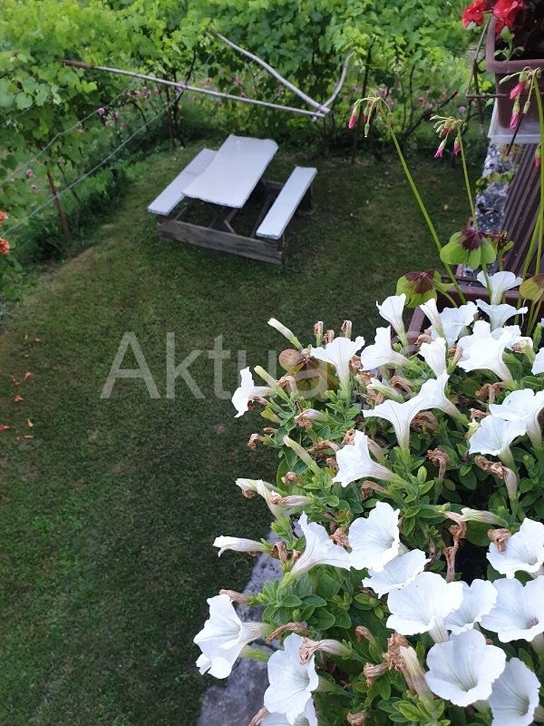 Image 4019032 - 10