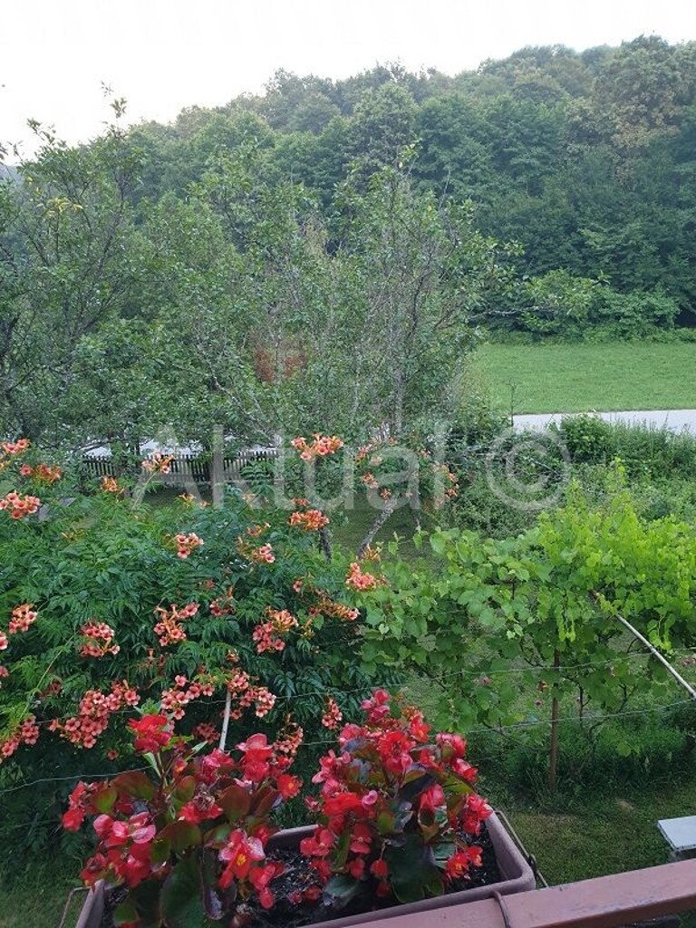 Image 4019032 - 9