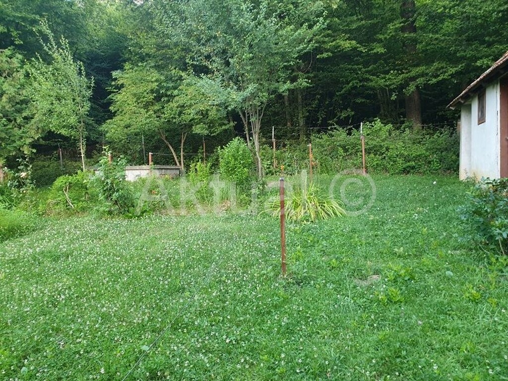 Image 4019032 - 14
